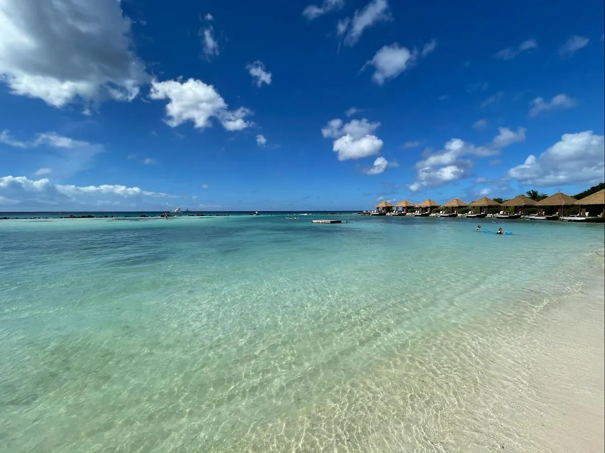 Luxury Ocean View Condo @ Aruba'S Palm Beach 0*,